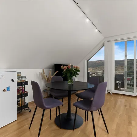 Penthouse Downtown