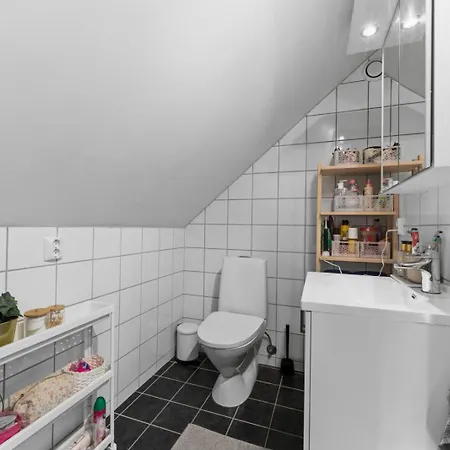 Apartament Penthouse Downtown *