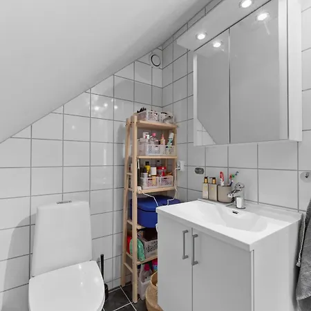 Apartament Penthouse Downtown
